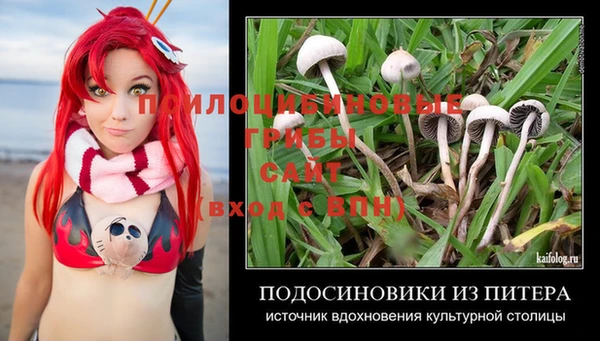 дмт Бронницы