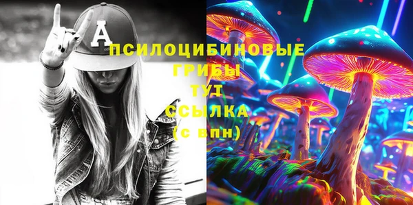 дмт Бронницы