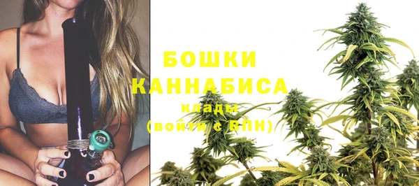 дмт Бронницы