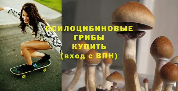 дмт Бронницы