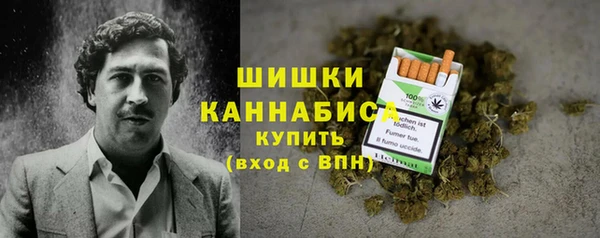 дмт Бронницы